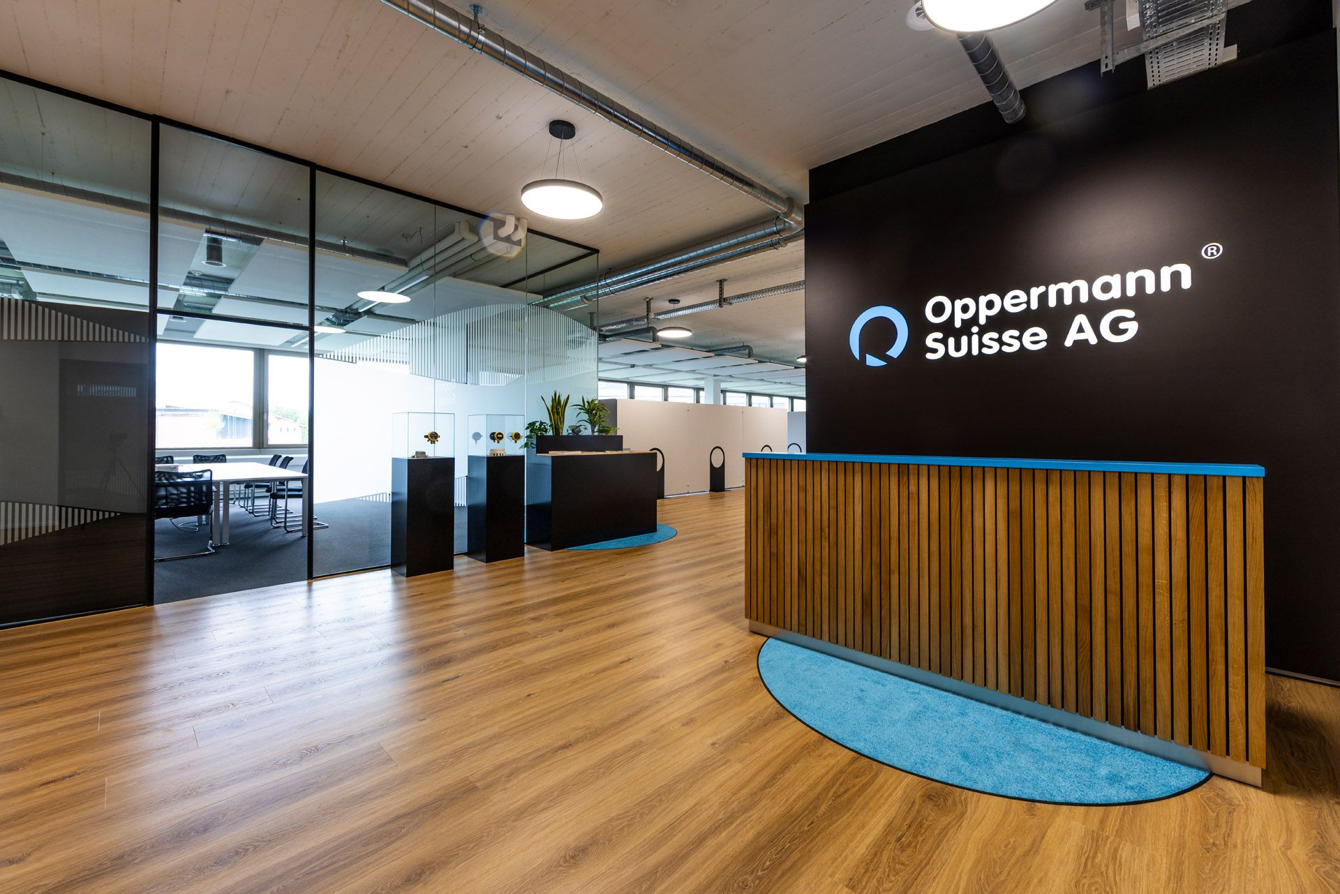 Oppermann Suisse AG
